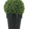 Enchanted Garden™ 14.5" Artificial Boxwood Topiary Ball With Black Pot -Home N Garden Joy Sales 21SYM HJI 5