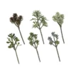 Enchanted Garden™ 11.75" Artificial Succulent Pick - Assorted Styles -Home N Garden Joy Sales 2478810