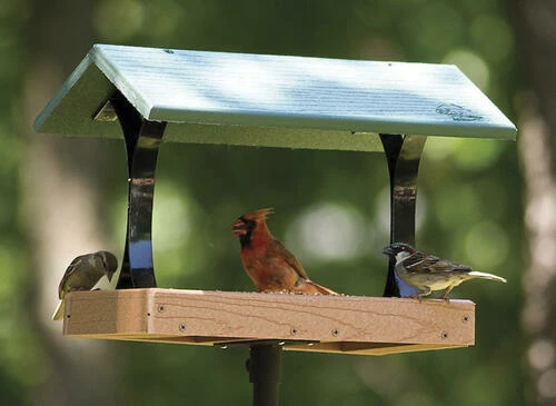 Enchanted Garden® Green Fly-Through Bird Feeder 4 Enchanted Garden® Green Fly-Through Bird Feeder - Image 2