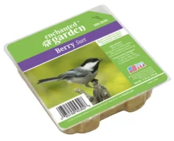 Enchanted Garden™ Berry Bird Suet Cake - 11.25 Oz 6 Enchanted Garden™ Berry Bird Suet Cake - 11.25 Oz -Home N Garden Joy Sales 266 2045Master Imgs