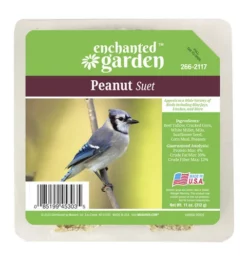 Enchanted Garden™ Peanut Bird Suet Cake - 11 Oz