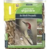Enchanted Garden™ In-Shell Peanuts Wild Bird Food - 4 Lb