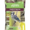 Enchanted Garden™ Songbird Supreme Wild Bird Food Seed - 20 Lb 1 Enchanted Garden™ Songbird Supreme Wild Bird Food Seed - 20 Lb -Home N Garden Joy Sales 2661353 P SF render