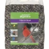 Enchanted Garden™ Colorful Blend Wild Bird Food Seed - 8 Lb -Home N Garden Joy Sales 2662091 Color Blend Birdseed Front