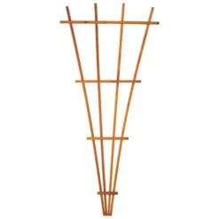 Enchanted Garden™ 32"W X 72"H Cedar Fan Trellis