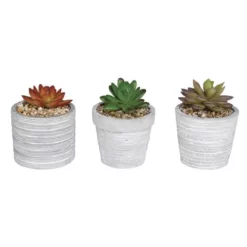 Home N Garden Joy Sales 32 Enchanted Garden™ 4" Artificial Succulent With Cement Pot - Assorted Styles