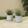 Enchanted Garden™ 6" Artificial Succulent With Cement Pot - Assorted Styles -Home N Garden Joy Sales 2774609