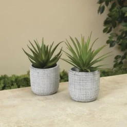 Enchanted Garden™ 6" Artificial Succulent With Cement Pot - Assorted Styles