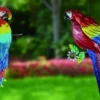 Enchanted Garden™ 17.3" Parrot Outdoor Wall Art - Assorted Styles -Home N Garden Joy Sales 2775051 P SC V2