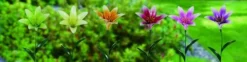 Enchanted Garden™ Flower Garden Stake - Assorted Styles