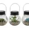 Enchanted Garden™ Artificial Succulent Solar LED Glass Jar - Assorted Styles -Home N Garden Joy Sales 2775442