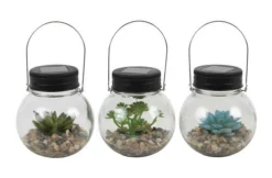 Enchanted Garden™ Artificial Succulent Solar LED Glass Jar - Assorted Styles