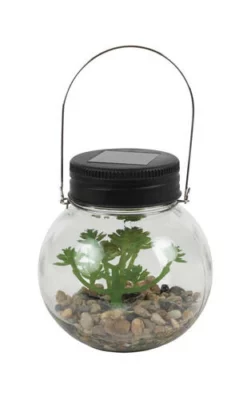 Enchanted Garden™ Artificial Succulent Solar LED Glass Jar - Assorted Styles -Home N Garden Joy Sales 2775442 C