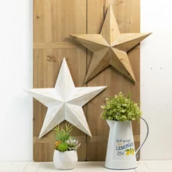 Enchanted Garden™ 17.5" Wood Star Outdoor Wall Art - Assorted Colors -Home N Garden Joy Sales 2775453 scene