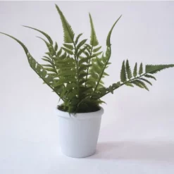 Enchanted Garden™ 10" Artificial Green Plant With Pot - Assorted Styles -Home N Garden Joy Sales 2775474 2