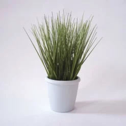 Enchanted Garden™ 10" Artificial Green Plant With Pot - Assorted Styles -Home N Garden Joy Sales 2775474 3