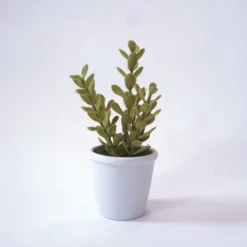 Enchanted Garden™ 10" Artificial Green Plant With Pot - Assorted Styles -Home N Garden Joy Sales 2775474 4