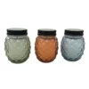 Enchanted Garden™ 9 Oz. Glass Pineapple Jar Citronella Candle - Assorted Colors -Home N Garden Joy Sales 2775550 2021 CMYK