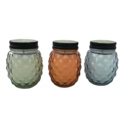Enchanted Garden™ 9 Oz. Glass Pineapple Jar Citronella Candle - Assorted Colors