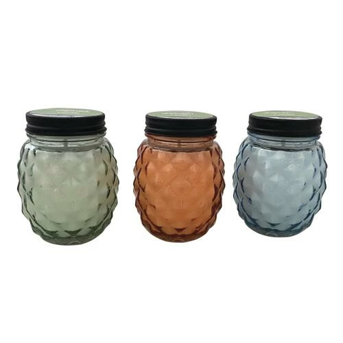 Enchanted Garden™ 9 Oz. Glass Pineapple Jar Citronella Candle - Assorted Colors 3 Enchanted Garden™ 9 Oz. Glass Pineapple Jar Citronella Candle - Assorted Colors