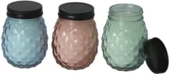 Enchanted Garden™ 9 Oz. Glass Pineapple Jar Citronella Candle - Assorted Colors 9 Enchanted Garden™ 9 Oz. Glass Pineapple Jar Citronella Candle - Assorted Colors -Home N Garden Joy Sales 2775550 3pack
