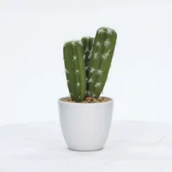 Enchanted Garden™ 8.5" Artificial Potted Cactus